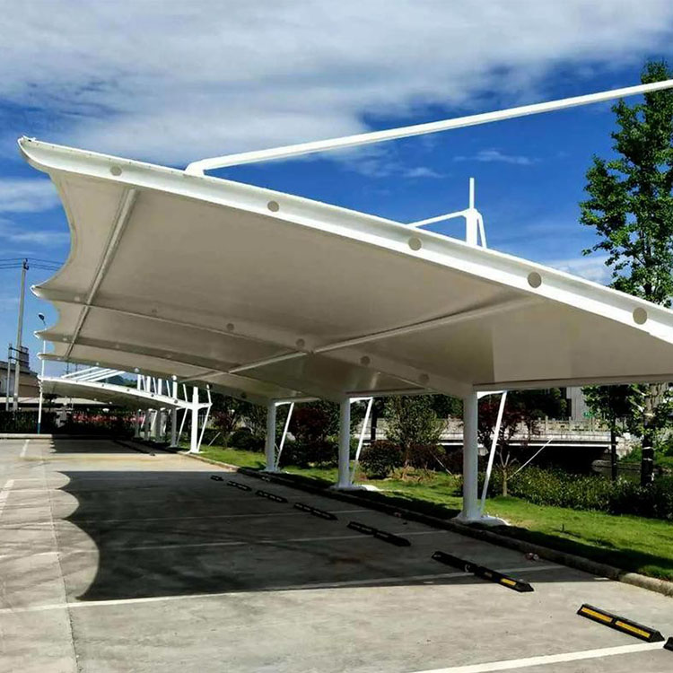 枞阳县膜结构汽车棚